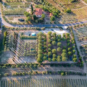 Kemping Agricamping Poggio Ai Pini Wine, Certaldo