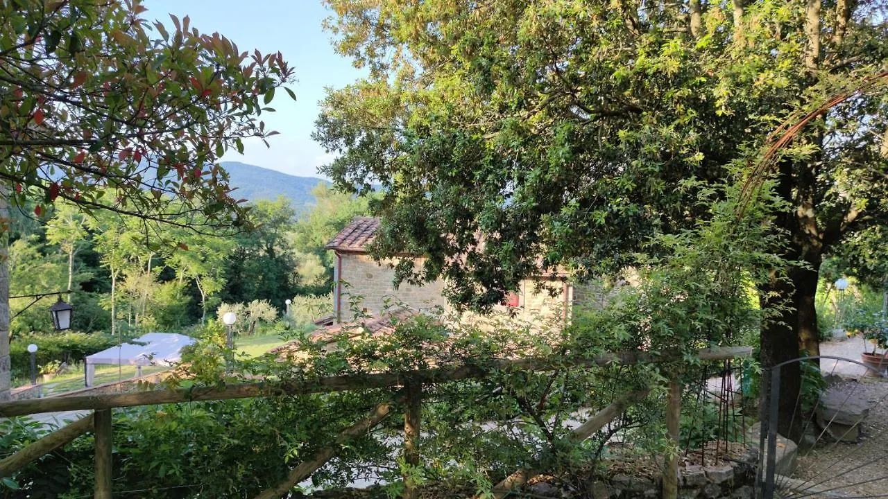 Agriturismo I Cedri Cortona Farm stay