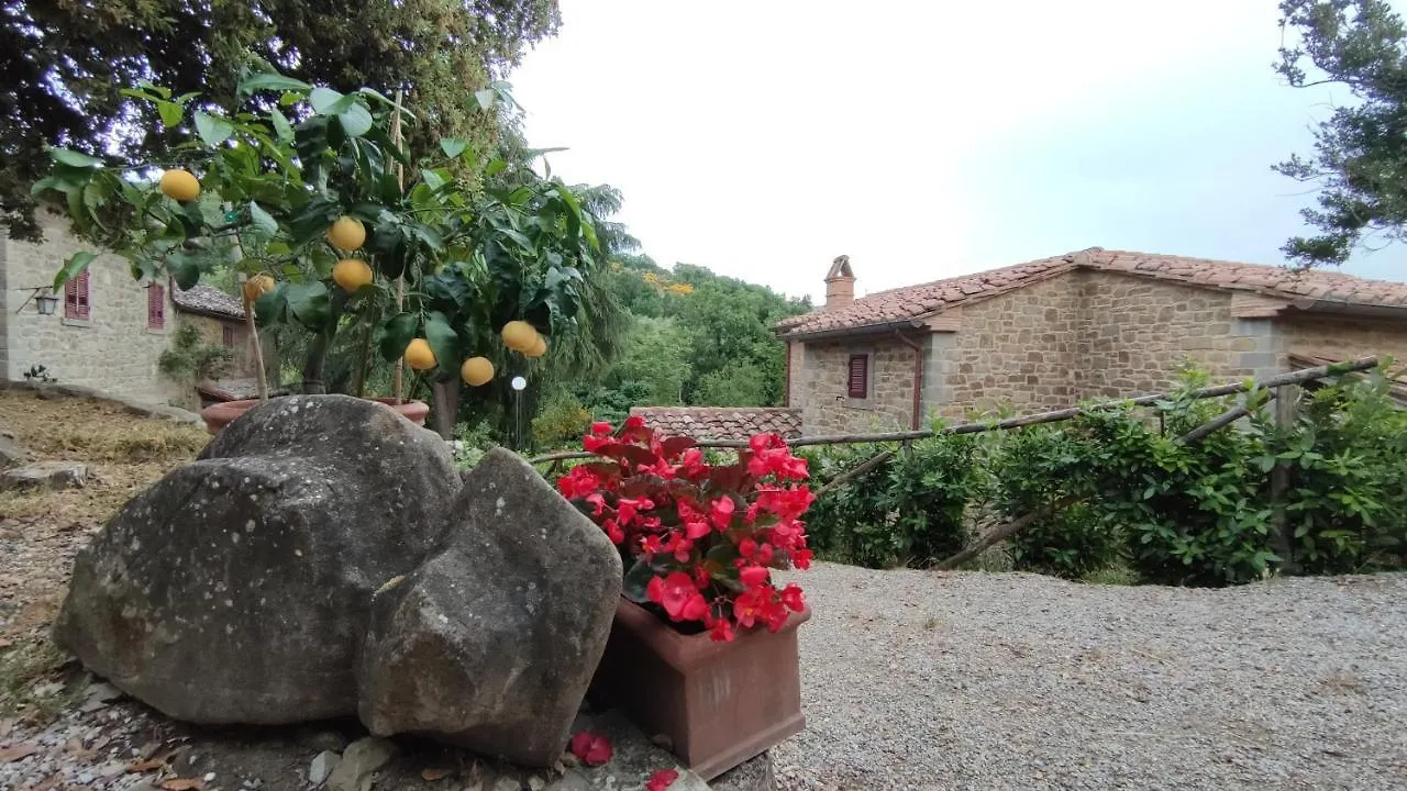 Farm stay Agriturismo I Cedri Cortona