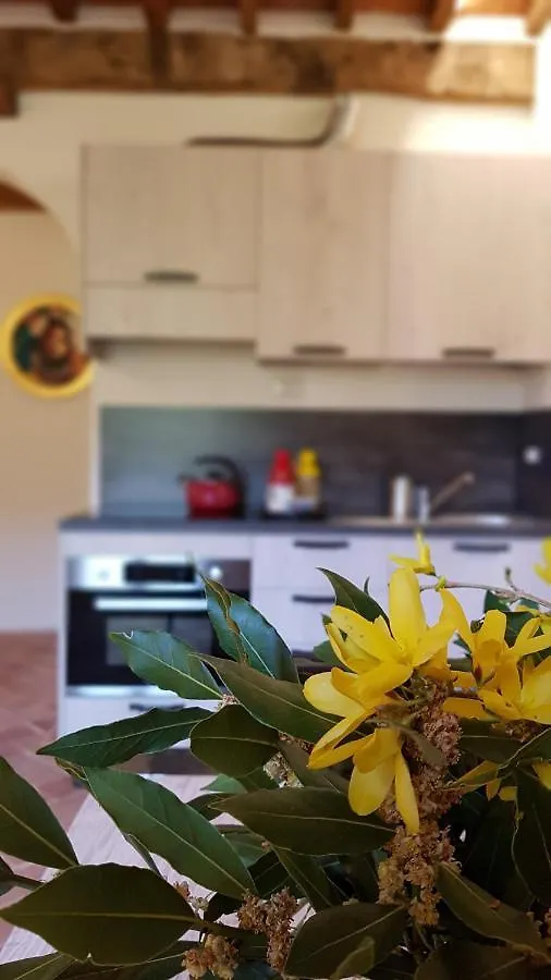 Agriturismo I Cedri Cortona